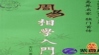 面相分三部分上中下(面相先看哪里)