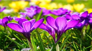 荡气回肠什么意思(荡气回荡气回肠什么意思)