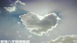 爱情八字姻缘基因 - 生辰八字与遗传基因的关系