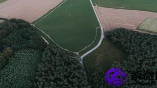 白蜡金命和城头土命配不配(城头土命与白蜡金命是否相配)