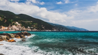 8月28日出生的明星有谁(王子文35周岁生日)