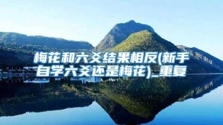 梅花和六爻结果相反(新手自学六爻还是梅花)_重复