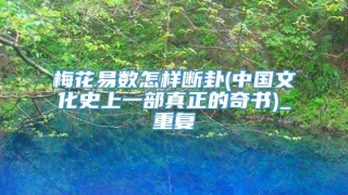 梅花易数怎样断卦(中国文化史上一部真正的奇书)_重复