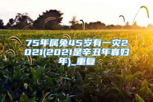 75年属兔45岁有一灾2021(2021是辛丑年寡妇年)_重复