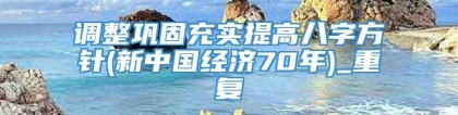 调整巩固充实提高八字方针(新中国经济70年)_重复