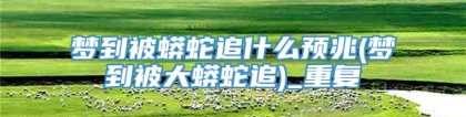 梦到被蟒蛇追什么预兆(梦到被大蟒蛇追)_重复