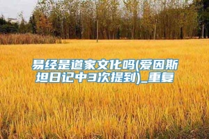 易经是道家文化吗(爱因斯坦日记中3次提到)_重复