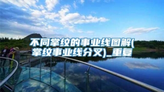 不同掌纹的事业线图解(掌纹事业线分叉)_重复