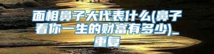 面相鼻子大代表什么(鼻子看你一生的财富有多少)_重复