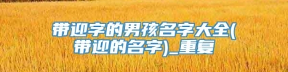 带迎字的男孩名字大全(带迎的名字)_重复