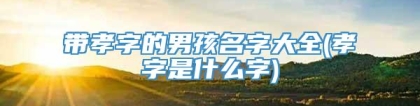带孝字的男孩名字大全(孝字是什么字)