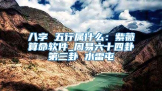 八字 五行属什么:紫薇算命软件_周易六十四卦第三卦 水雷屯