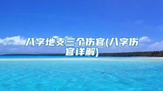 八字地支三个伤官(八字伤官详解)