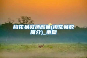 梅花易数猜颜色(梅花易数简介)_重复