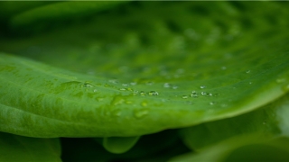 财运好的手相什么样(手相看财运9个特征)