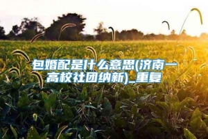 包婚配是什么意思(济南一高校社团纳新)_重复