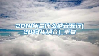2014年是什么纳音五行(2013年纳音)_重复