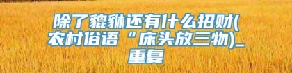 除了貔貅还有什么招财(农村俗语“床头放三物)_重复