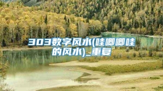 303数字风水(哇唧唧哇的风水)_重复