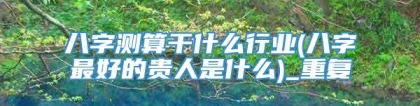 八字测算干什么行业(八字最好的贵人是什么)_重复