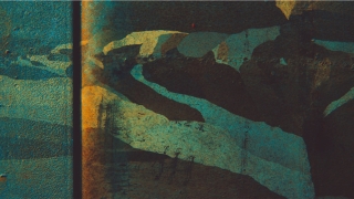 曾仕强易经占卜方法(曾仕强随卦详解)