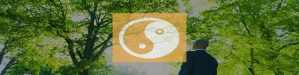 梅花易数预测学沈柏春(周易学术的分类)