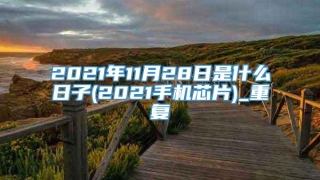 2021年11月28日是什么日子(2021手机芯片)_重复