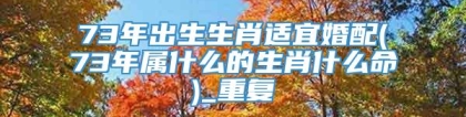 73年出生生肖适宜婚配(73年属什么的生肖什么命)_重复