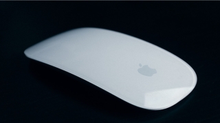 男人脸型面相看命运(你的脸型说明了你的性格)