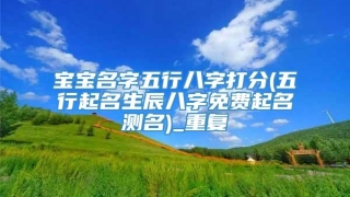 宝宝名字五行八字打分(五行起名生辰八字免费起名测名)_重复