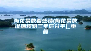 梅花易数看感情(梅花易数准确预测三年后分手)_重复