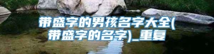 带盛字的男孩名字大全(带盛字的名字)_重复