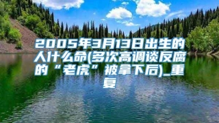 2005年3月13日出生的人什么命(多次高调谈反腐的“老虎”被拿下后)_重复