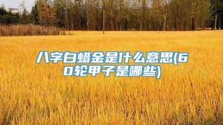 八字白蜡金是什么意思(60轮甲子是哪些)