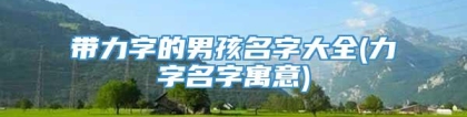 带力字的男孩名字大全(力字名字寓意)