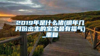 2019年是什么猪(明年几月份出生的宝宝最有福气)_重复