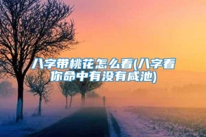 八字带桃花怎么看(八字看你命中有没有咸池)