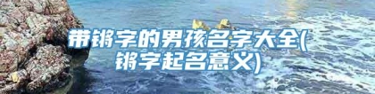 带锵字的男孩名字大全(锵字起名意义)