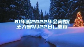 81年鸡2022年会离婚(王力宏1月22日)_重复