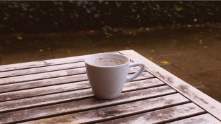 梦到飞机坠毁在我面前预示什么(做梦坠电梯)