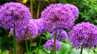 2002今年多少周岁(20021年运势)_重复