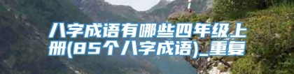 八字成语有哪些四年级上册(85个八字成语)_重复