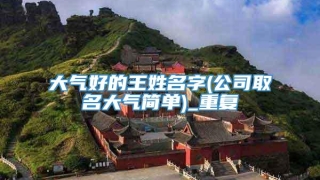 大气好的王姓名字(公司取名大气简单)_重复