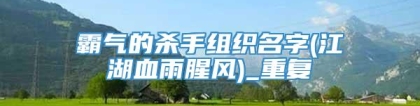 霸气的杀手组织名字(江湖血雨腥风)_重复