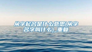 从字起名是什么意思(从字名字叫什么)_重复