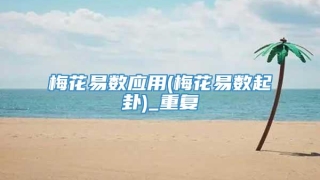 梅花易数应用(梅花易数起卦)_重复