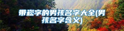 带崧字的男孩名字大全(男孩名字含义)
