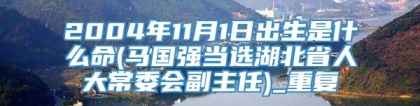 2004年11月1日出生是什么命(马国强当选湖北省人大常委会副主任)_重复