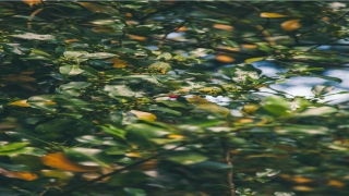 男人哪种手相好(手相怎么看财运)