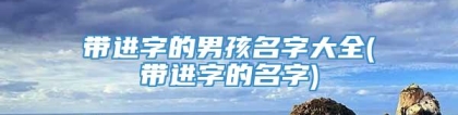 带进字的男孩名字大全(带进字的名字)